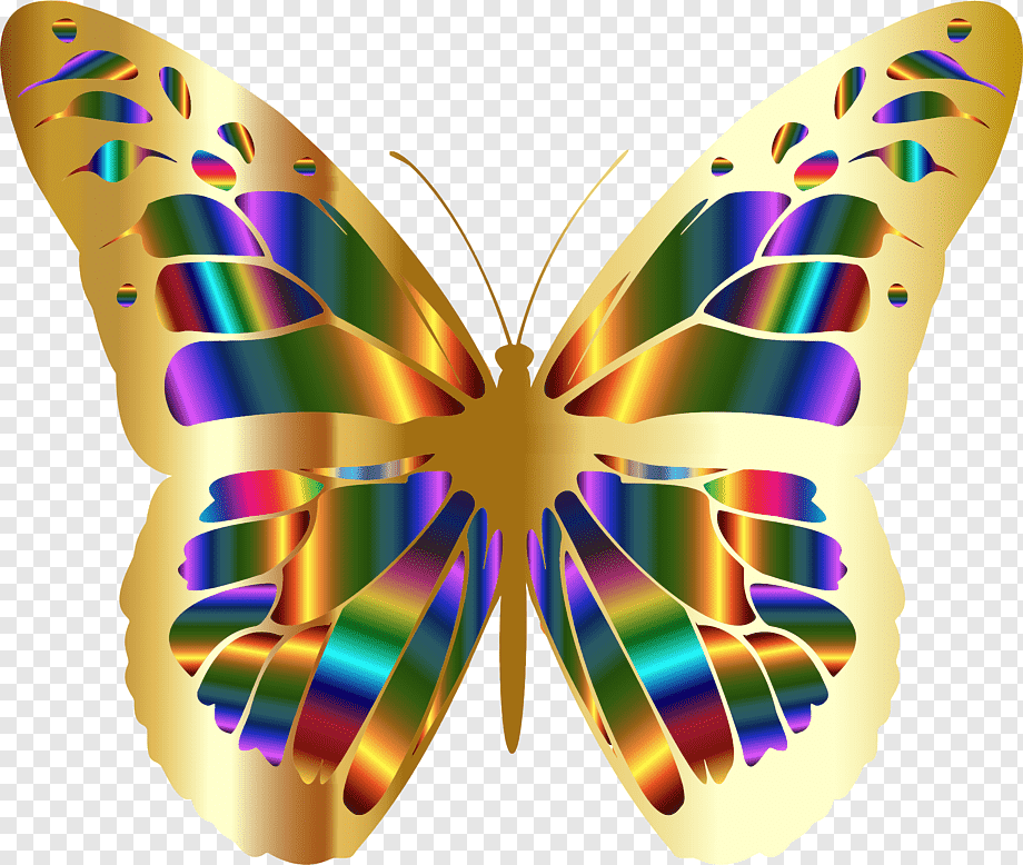 png-transparent-tiger-monarch-butterfly-insect-borders-and-frames-glasswing-butterfly-milkweed-butterflies-pieridae-brushfooted-butterflies-lepidoptera